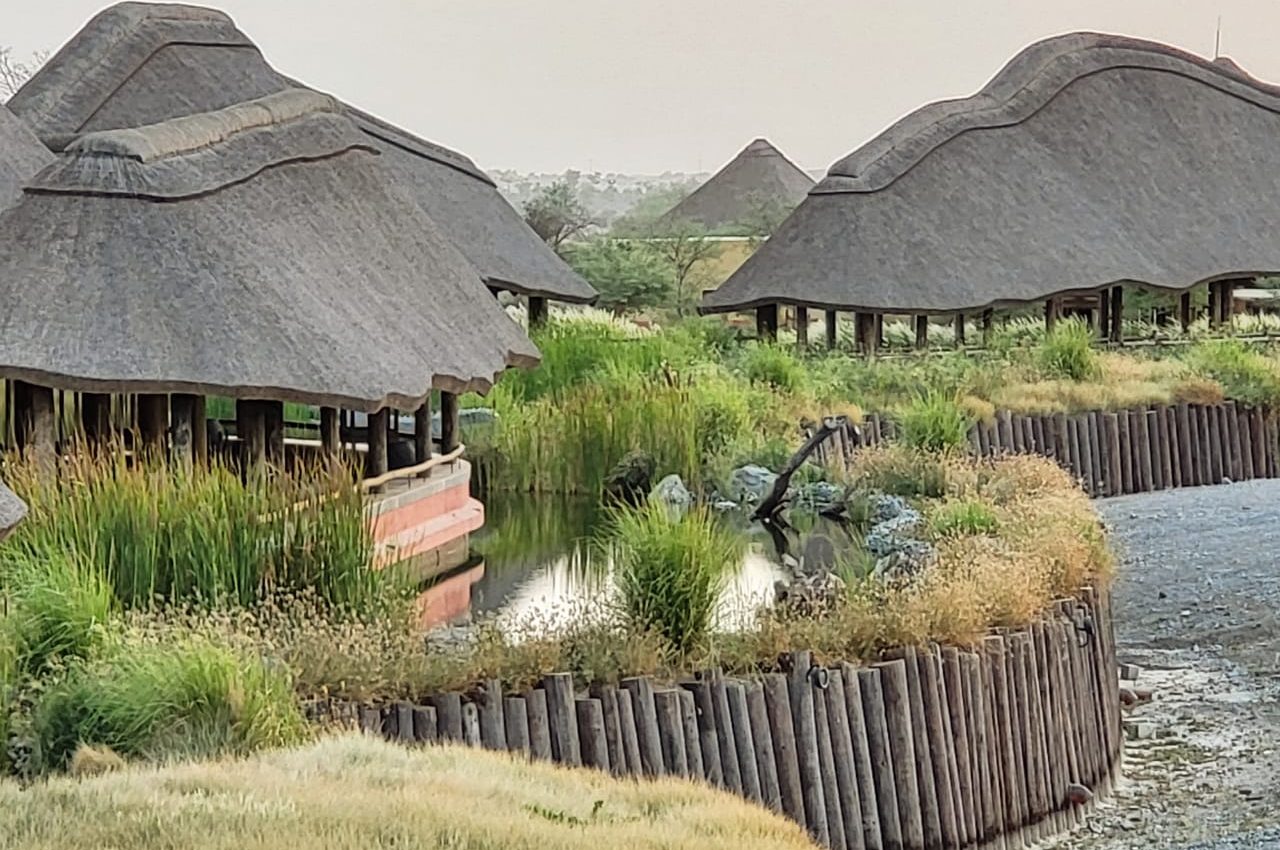 waste water treatment reed bed constructed wetland tse lakes UAE